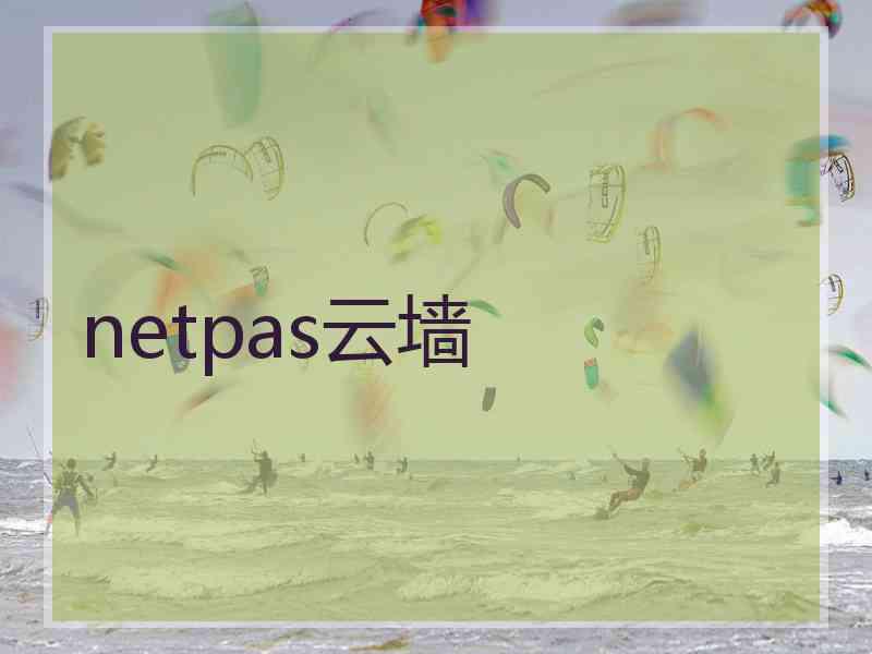 netpas云墙