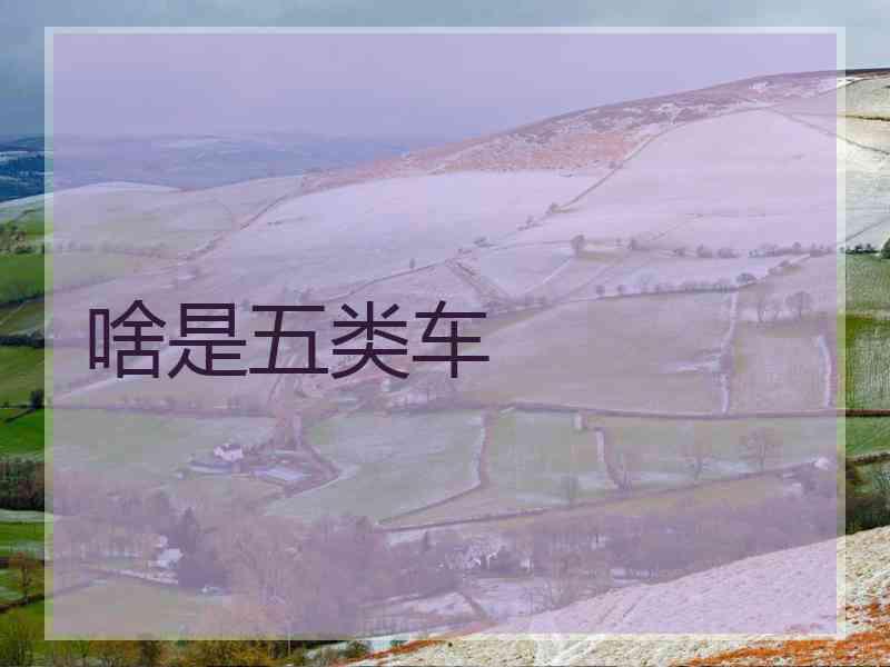 啥是五类车