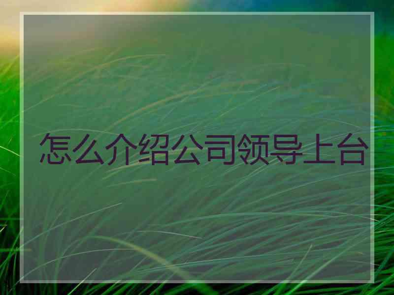 怎么介绍公司领导上台