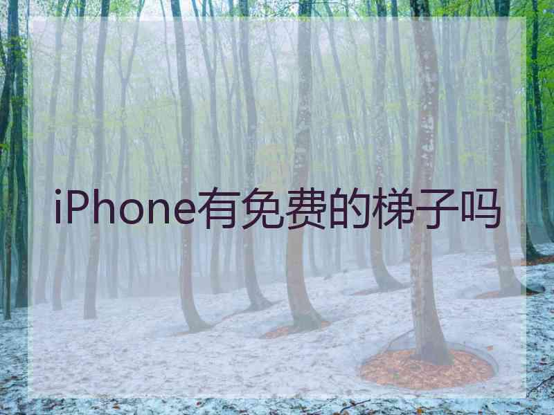iPhone有免费的梯子吗