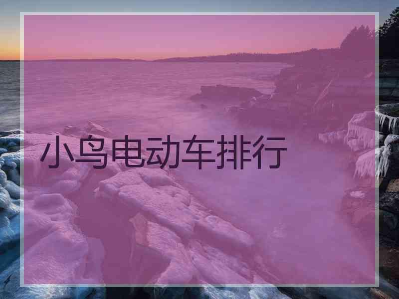 小鸟电动车排行