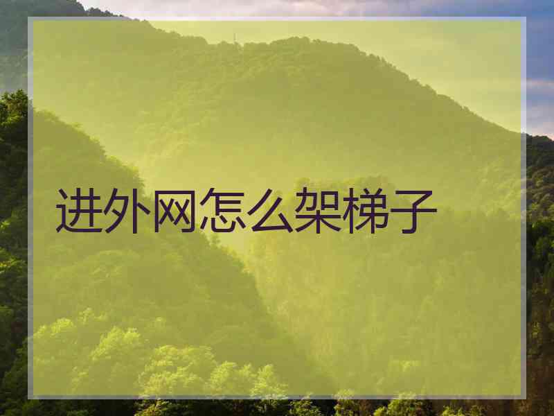 进外网怎么架梯子