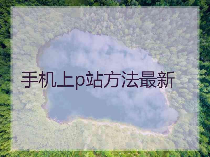手机上p站方法最新