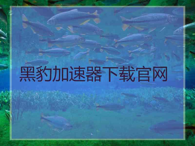 黑豹加速器下载官网