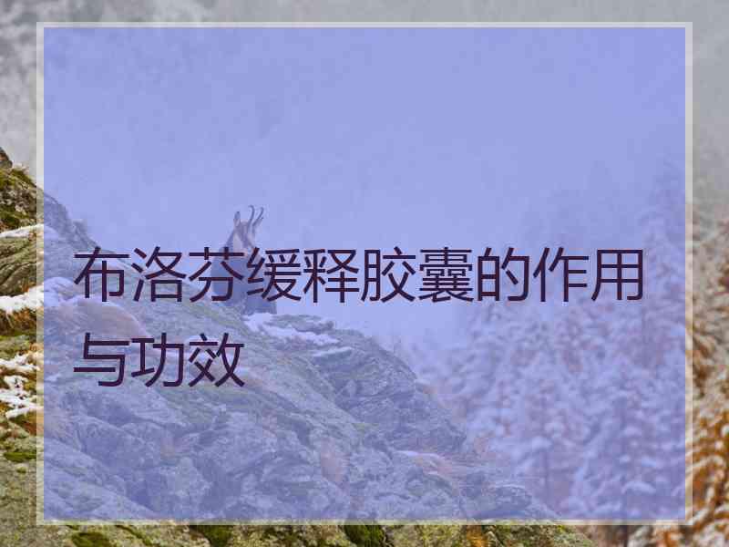 布洛芬缓释胶囊的作用与功效