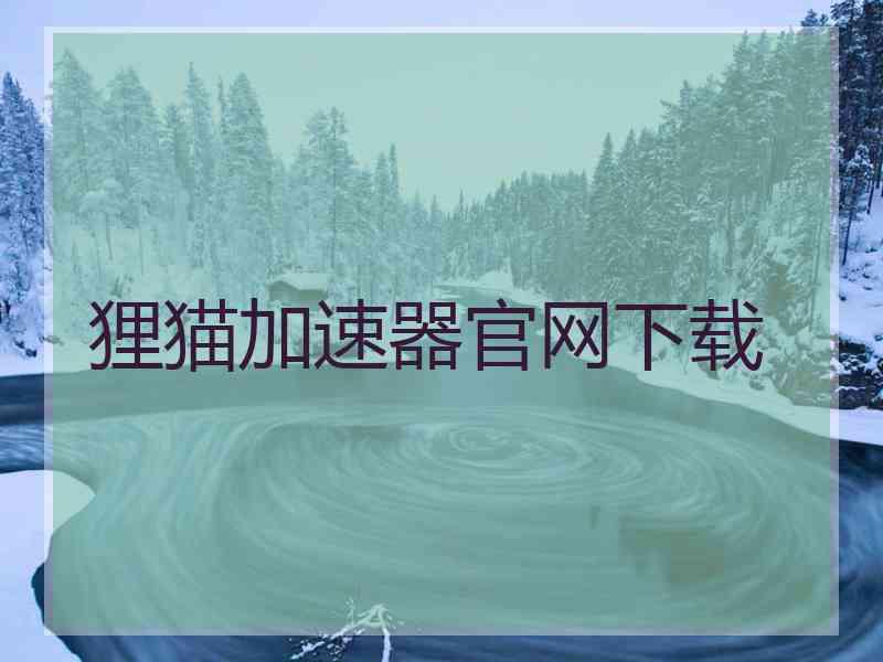 狸猫加速器官网下载