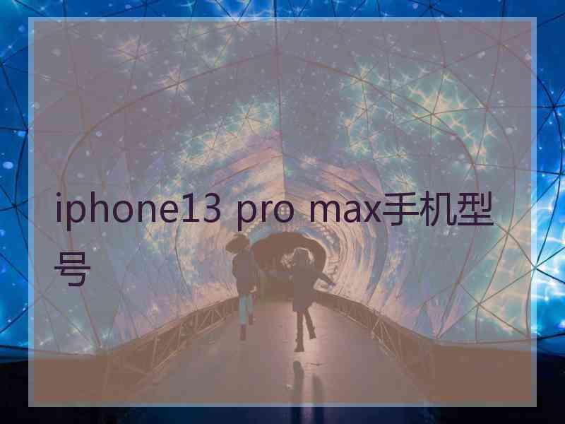 iphone13 pro max手机型号
