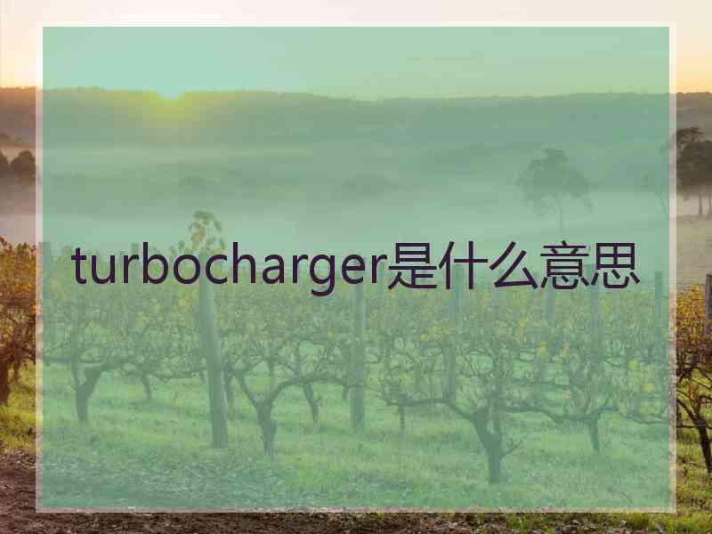 turbocharger是什么意思