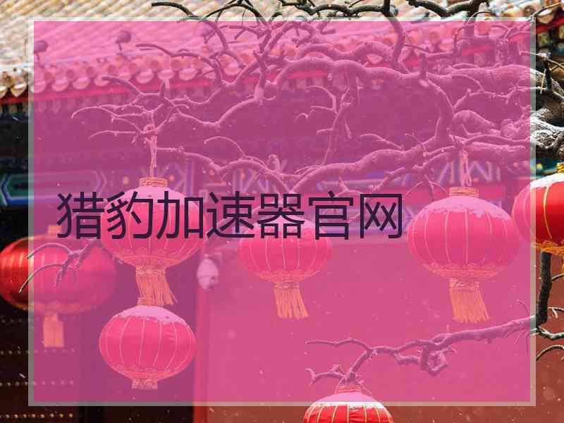 猎豹加速器官网
