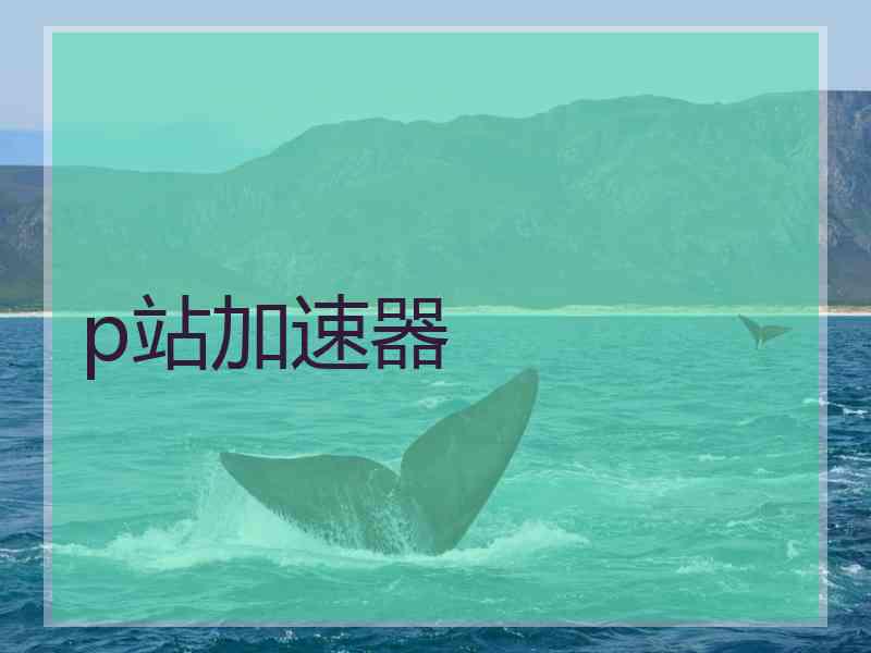 p站加速器