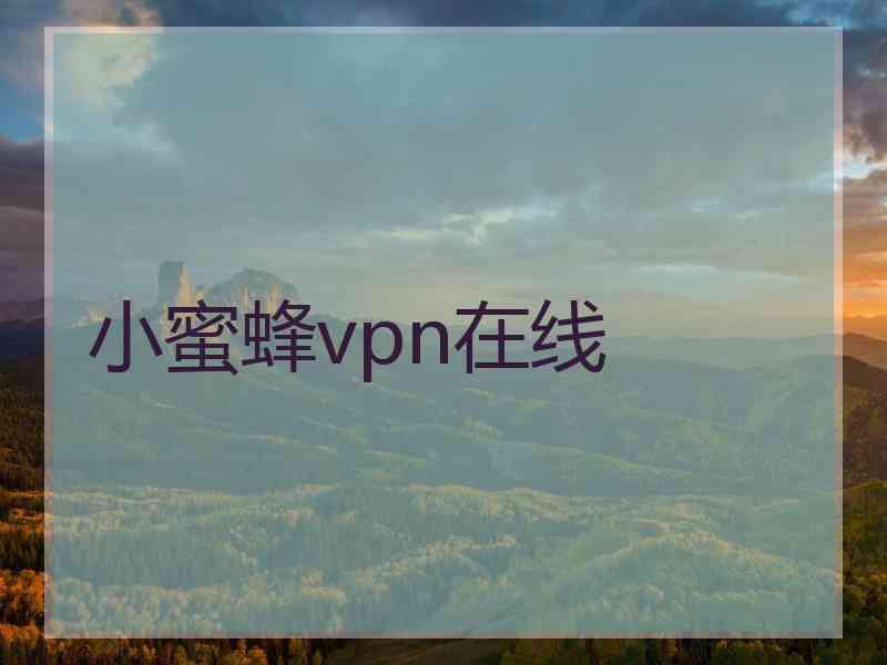 小蜜蜂vpn在线
