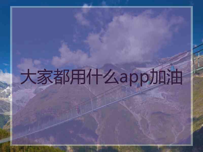 大家都用什么app加油
