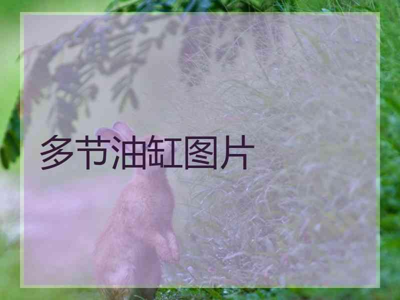 多节油缸图片