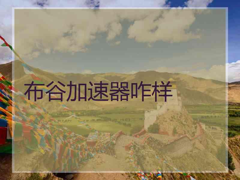 布谷加速器咋样
