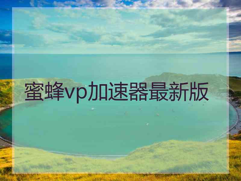 蜜蜂vp加速器最新版