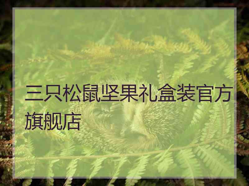 三只松鼠坚果礼盒装官方旗舰店