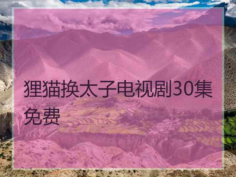 狸猫换太子电视剧30集免费