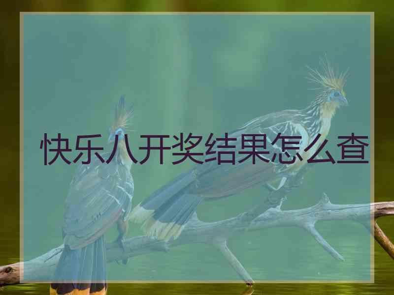 快乐八开奖结果怎么查