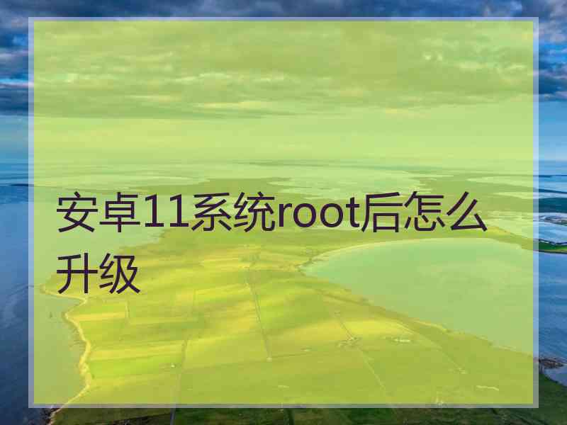 安卓11系统root后怎么升级