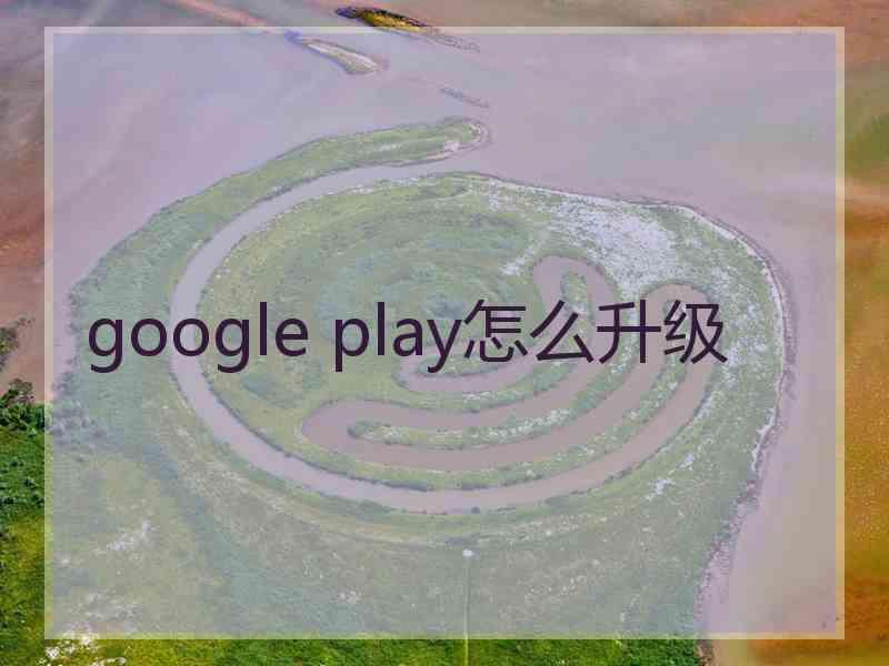 google play怎么升级