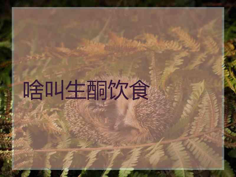 啥叫生酮饮食