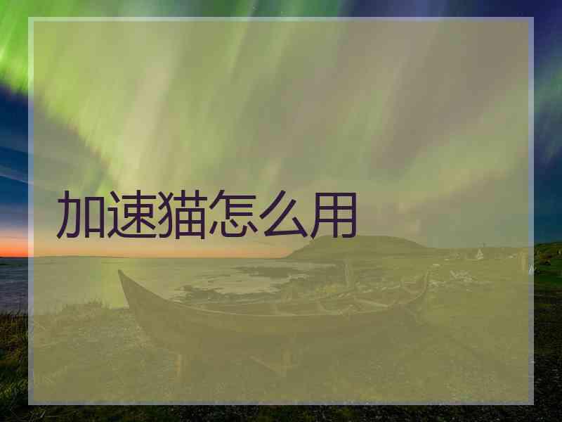 加速猫怎么用