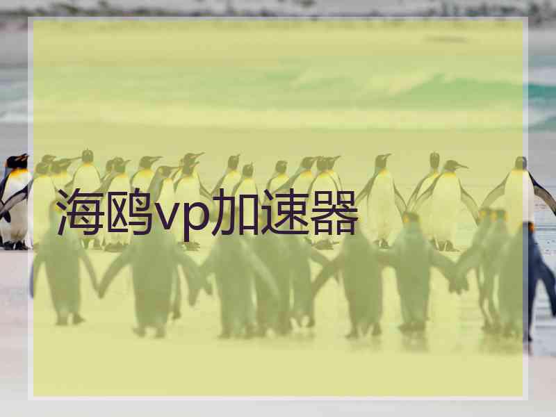 海鸥vp加速器