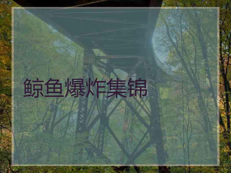 鲸鱼爆炸集锦