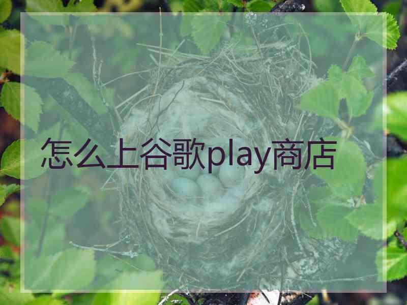 怎么上谷歌play商店