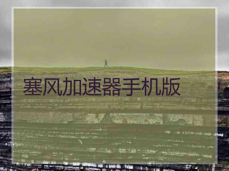 塞风加速器手机版