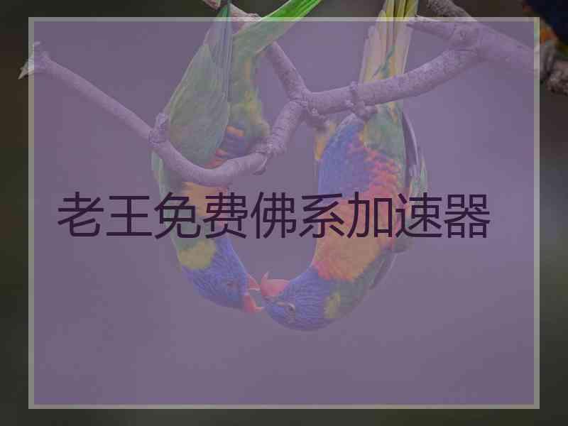 老王免费佛系加速器