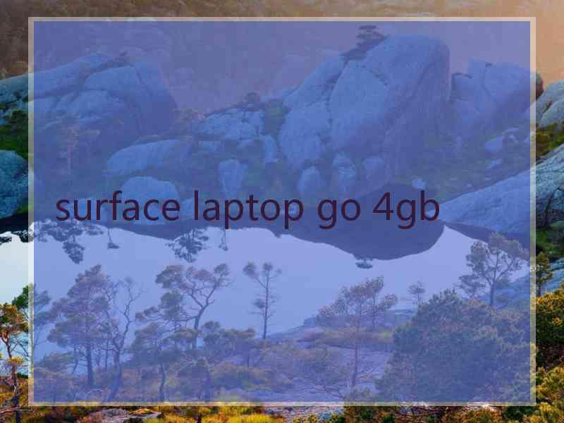 surface laptop go 4gb