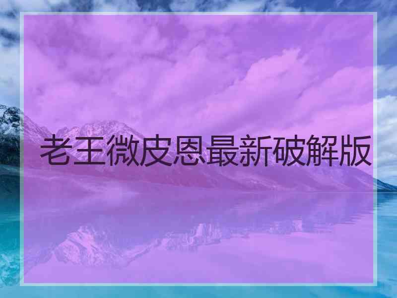 老王微皮恩最新破解版