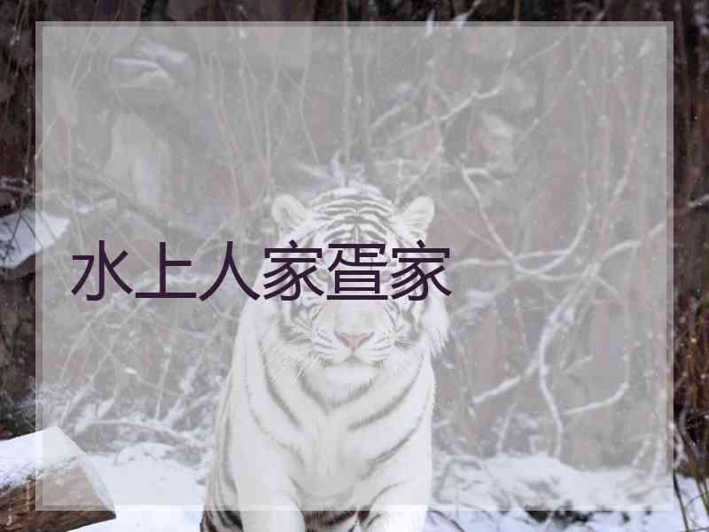 水上人家疍家