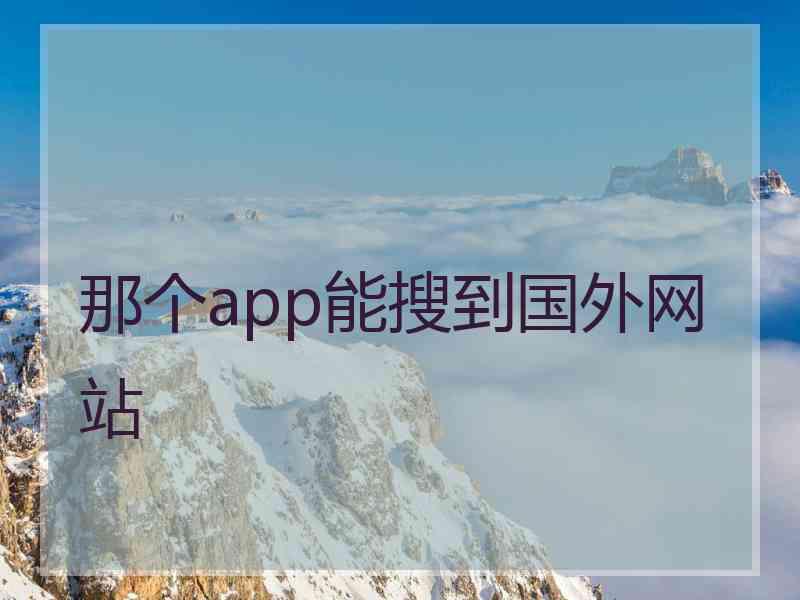 那个app能搜到国外网站
