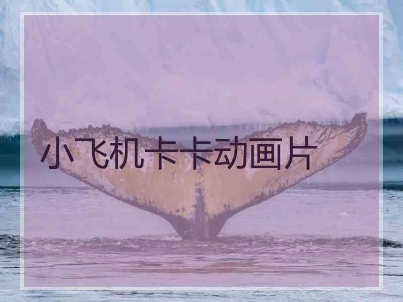 小飞机卡卡动画片