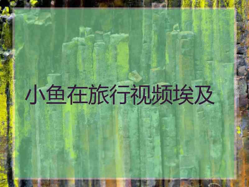 小鱼在旅行视频埃及