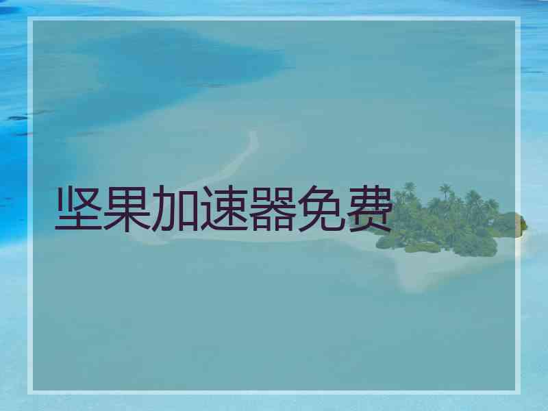 坚果加速器免费