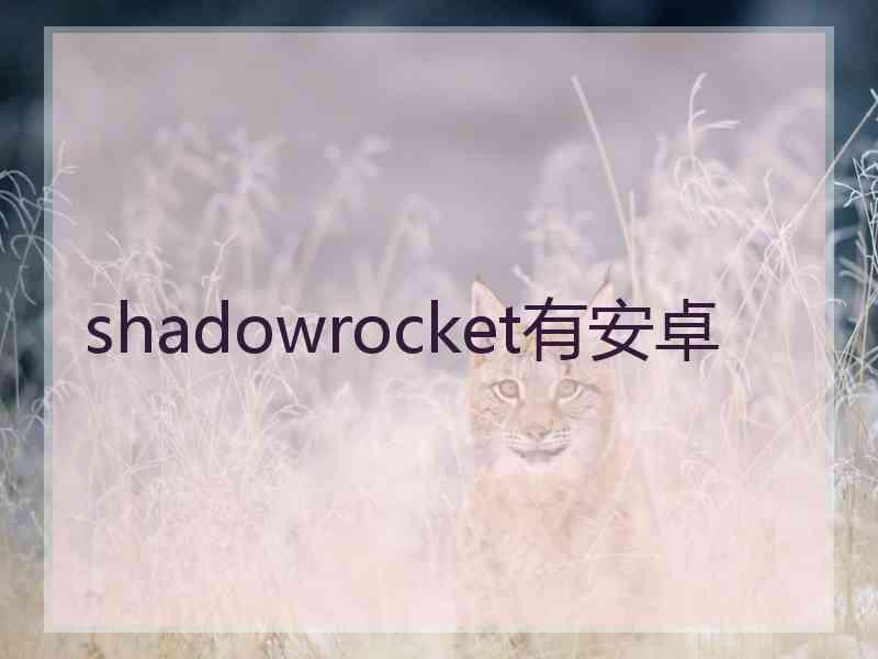 shadowrocket有安卓