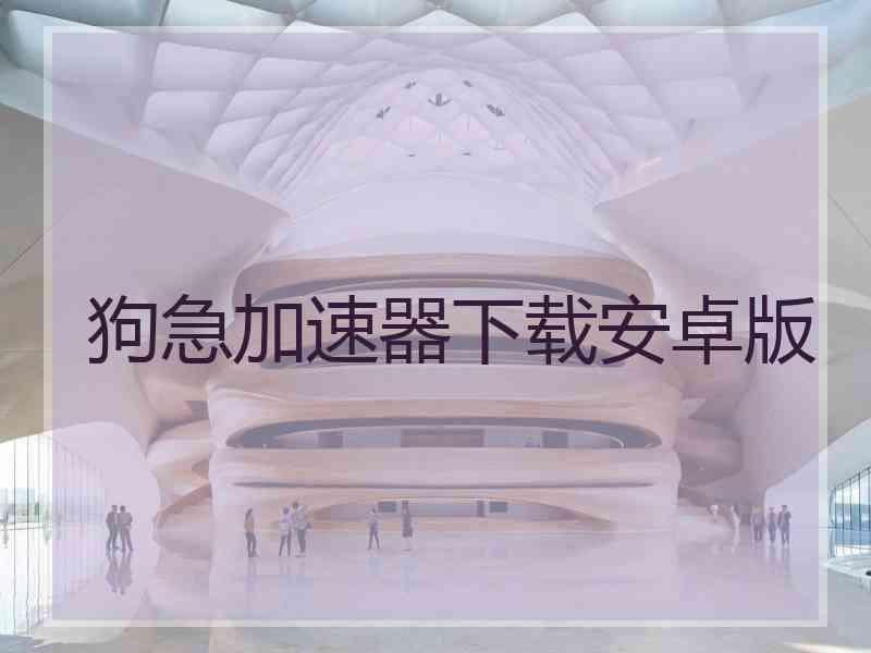 狗急加速器下载安卓版
