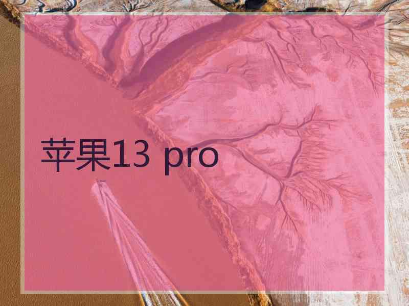 苹果13 pro