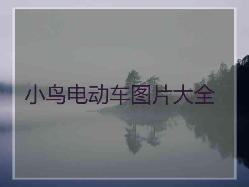 小鸟电动车图片大全