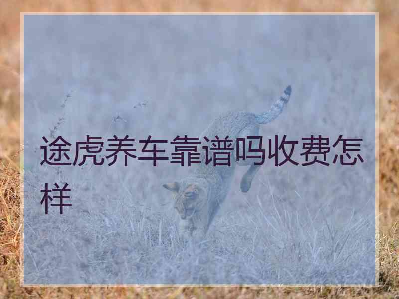 途虎养车靠谱吗收费怎样