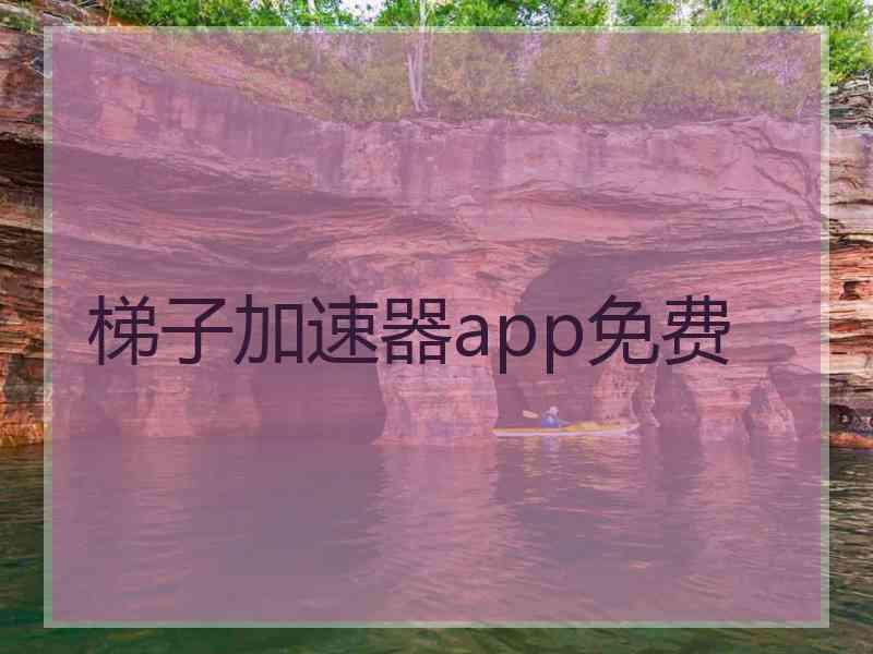 梯子加速器app免费