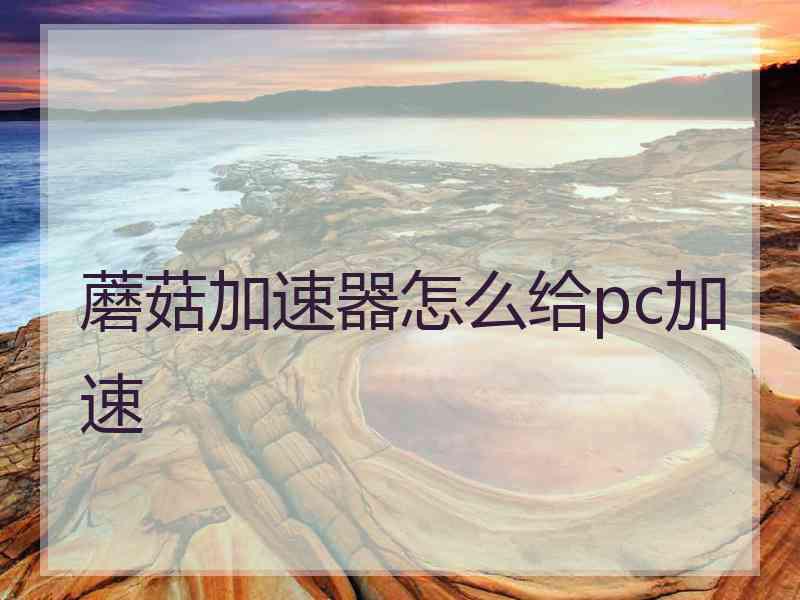 蘑菇加速器怎么给pc加速