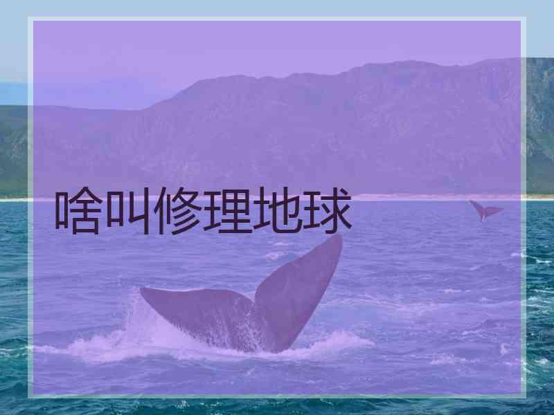 啥叫修理地球