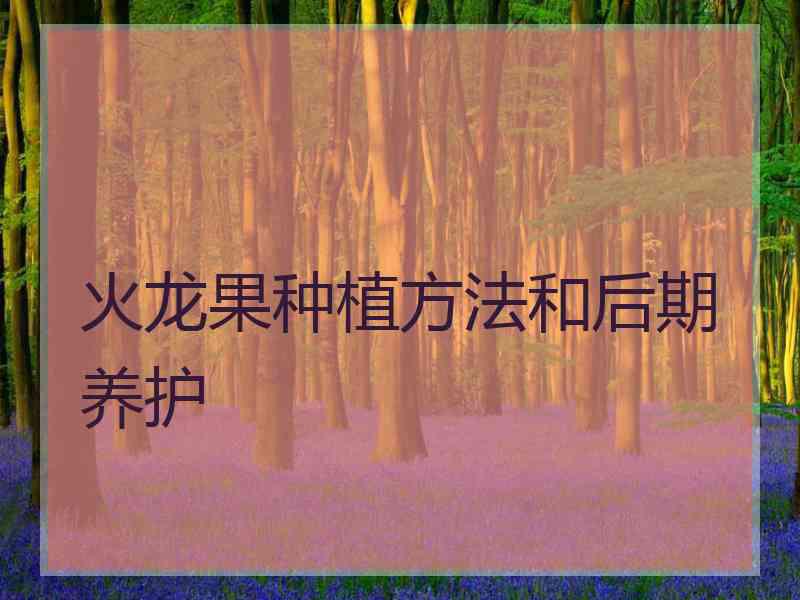 火龙果种植方法和后期养护