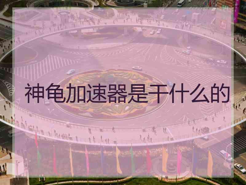 神龟加速器是干什么的