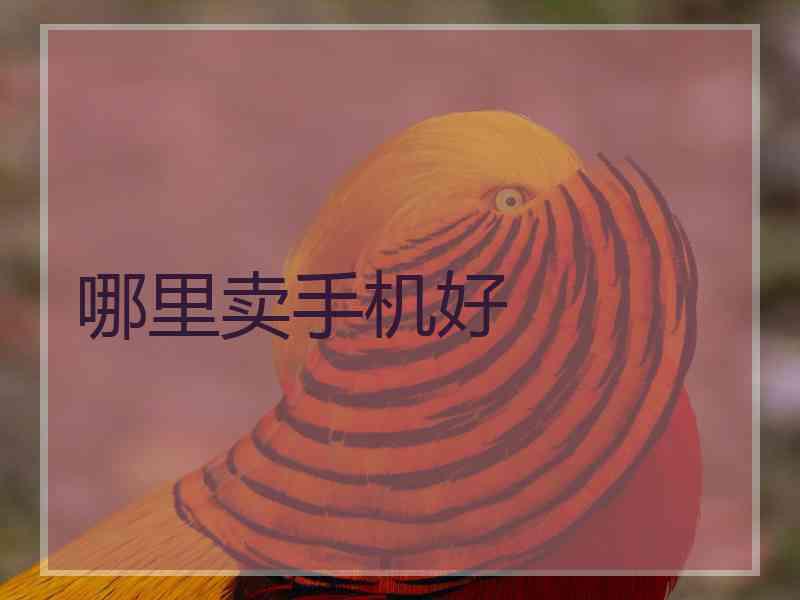 哪里卖手机好