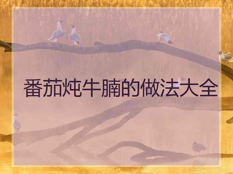 番茄炖牛腩的做法大全